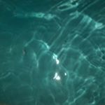 Profile Picture of Facts And Edits (@bridgette_and_jenna) on Instagram