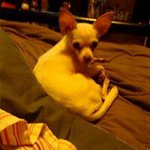 Profile Picture of Pam Owens (@pam.owens.37819) on Instagram