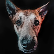 Profile Picture of Bryan Pulido (@bryanpulido4488) on Youtube