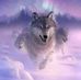 Profile Picture of Axel Wolf (@axel.wolf.39) on Facebook