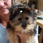 Profile Picture of Danny Dawkins (@danny.dawkins.58) on Facebook