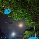 Profile Picture of Kurt Darrel Miñon (@Kurt-Darrel-Miñon) on Facebook