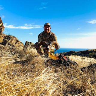 Profile Picture of Robin Kean (@mauibowhunter) on Instagram