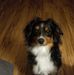 Profile Picture of Maurice Manning (@maurice.manning.1044) on Facebook