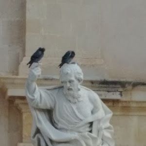 Profile Picture of Adam Bierman (@adambierman0) on Tiktok