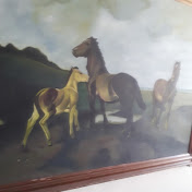 Profile Picture of Guadalupe Calderon (@GuadalupeCalderon-kk5rf) on Youtube