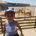 Profile Picture of Carolyn Manning Wadley (@mrs.wadley) on Instagram