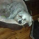 Profile Picture of Ian Hadfield (@ian.hadfield.9) on Instagram