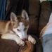 Profile Picture of Amanda Hauck (@amanda.hauck.165) on Facebook