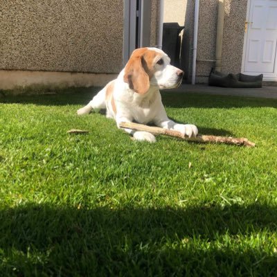 Profile Picture of Dawn Dolan (@DawnDolan16) on Twitter