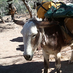 Profile Picture of John Cutter (@johnecutter) on Flickr