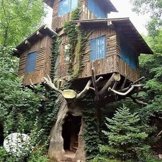 Profile Picture of Amancio Vasquez (@amancio.vasquez.315) on Facebook