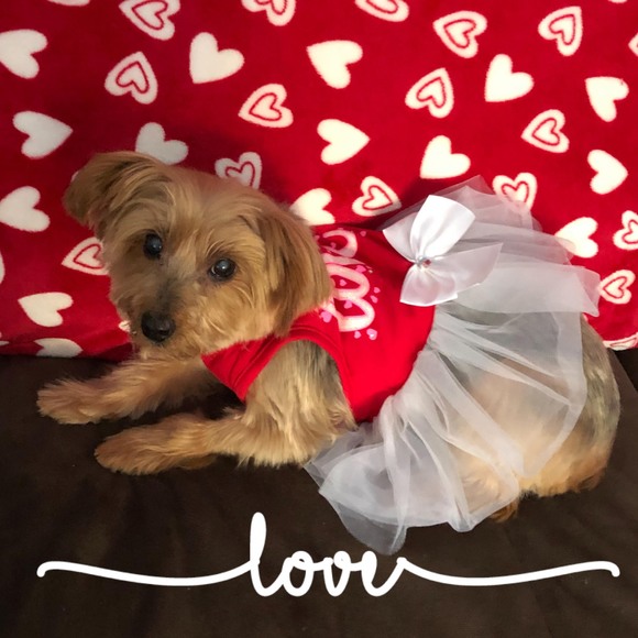 Profile Picture of Lois Condito (@loiscondito) on Poshmark