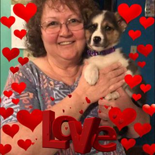 Profile Picture of Donna Bowman (Duncan) (@DonnaBowman23) on Facebook