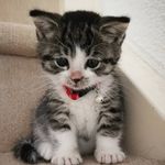 Profile Picture of Randy.E. Kornegay (@randy.e.kornegay) on Instagram