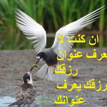 Profile Picture of El Kruty (@yyui651) on Twitter