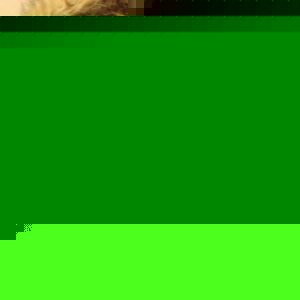 Profile Picture of Marilyn Sessions (@lilbunny89) on Myspace