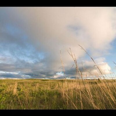 Profile Picture of Chris Helzer (@helzerprairie) on Twitter