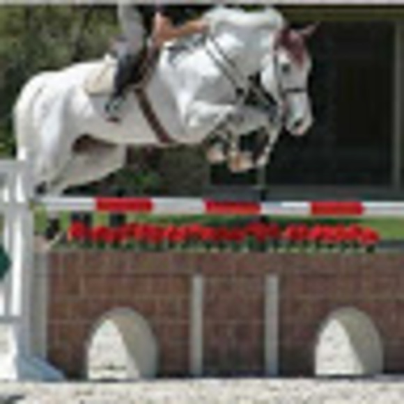 Profile Picture of Peter Harding (@peterharding) on Poshmark