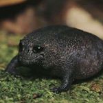 Profile Picture of andrew ballance (@i_like_tea599) on Instagram