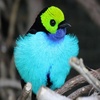 Profile Picture of Keni Arsenault (@@keniarsenault) on Tiktok