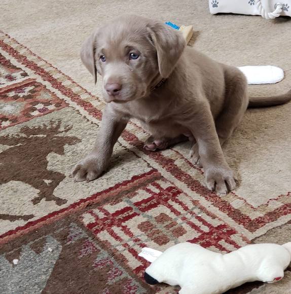 Profile Picture of Betty jo Verburg (@verburgb) on Poshmark