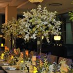 Profile Picture of Yvent Kouture (@yventkouture) on Instagram