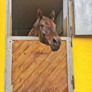 Profile Picture of Monika Resinger (@monika.resinger.9) on Facebook