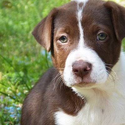 Profile Picture of Julian Cifuentes (@JulianC61295791) on Twitter