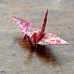 Profile Picture of Penny Takes Pictures (@penny takes pictures) on Flickr