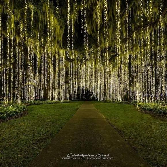 Profile Picture of Jammie Yaple (@jsgyaple) on Poshmark