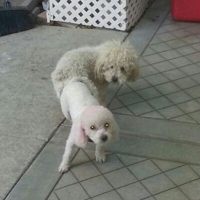 Profile Picture of Casey Escobar (@casedogg78) on Twitter