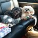 Profile Picture of Charles Clouse (@charles.clouse.796) on Facebook