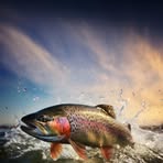 Mason Mulligan - Facebook Profile Picture of Mason Mulligan (@mason.mulligan.3) on Facebook