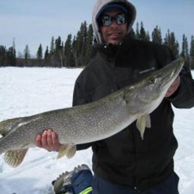 Profile Picture of Trent Kuzek (@T9060) on Twitter