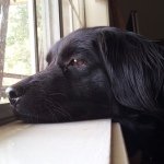 Profile Picture of Kim Maness (@kimallen1960) on Instagram