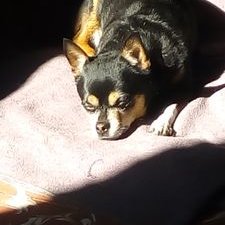 Profile Picture of Juan Carlos Esperanza S (@JuanCar03148343) on Twitter