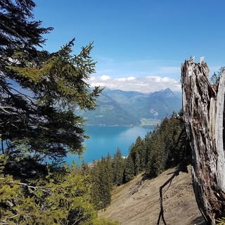 Profile Picture of Lengacher Daniel (@lengacher_daniel) on Instagram