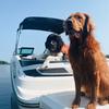 Profile Picture of Chance + Stapleton (@chanceandstapleton) on Tiktok