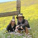 Profile Picture of Kit Hulit (@kithulit) on Instagram
