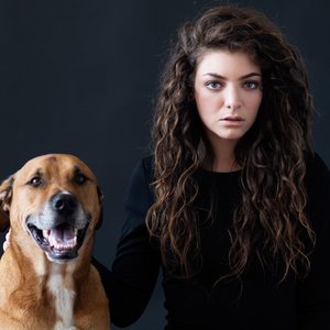 Profile Picture of Lorde (@lordeofficialmusic) on Myspace