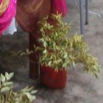 Profile Picture of Nadia Mitchell (@nadia_a_mitch) on Instagram