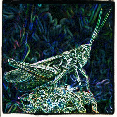 Profile Picture of Martin Clayton (@alphacabbage1) on Twitter