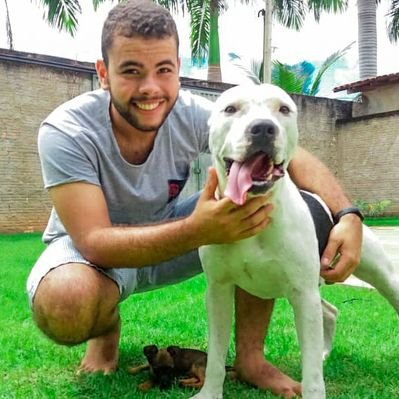 Profile Picture of Lucas Helmer (@_lucashelmer_) on Twitter