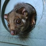 Profile Picture of Jacob Lombardo (@jacob.lombardo24) on Instagram