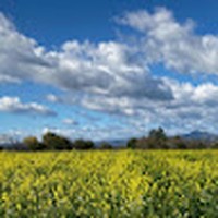 Quincey Imhoff Facebook, Instagram & Twitter on PeekYou