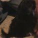 Profile Picture of Melodee Thomas (@mldthomas) on Pinterest