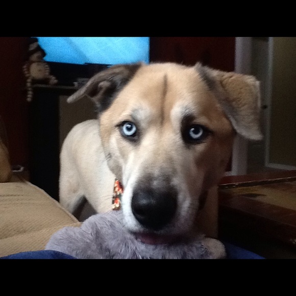 Profile Picture of Caitlin Mackenzie (@cmackenz715) on Poshmark