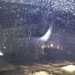 Profile Picture of Bernard holbert (@holbertbernard) on Instagram