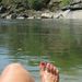 Profile Picture of Laurie Phelps (@lauriphelps) on Pinterest